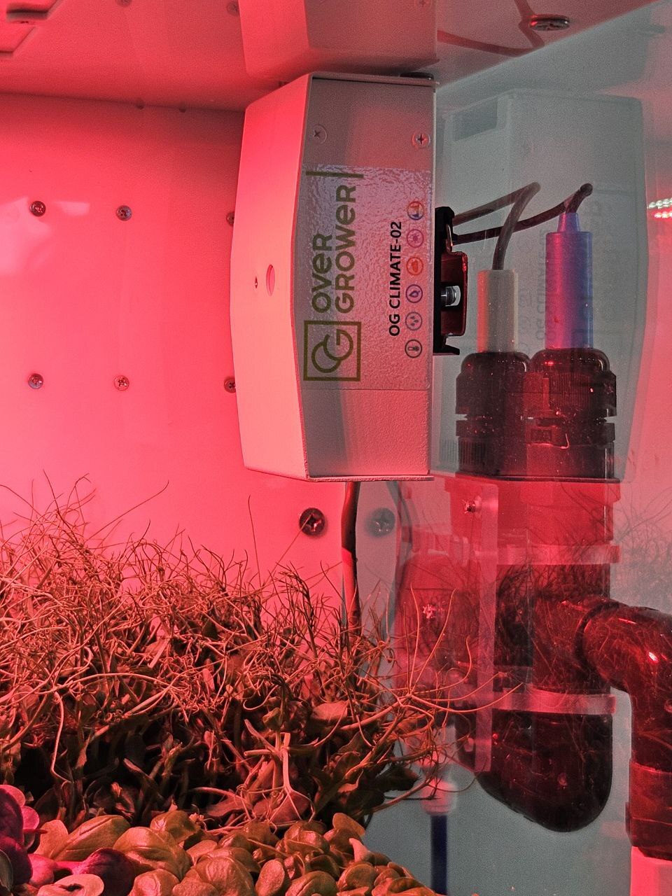 Гидропонная SMART - ферма "GrowBox" — изображение 2