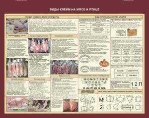 Стенд «Виды клейм на мясе и птиц»