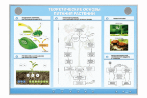 Электрофицированный стенд "Теоретические основы питания растений"